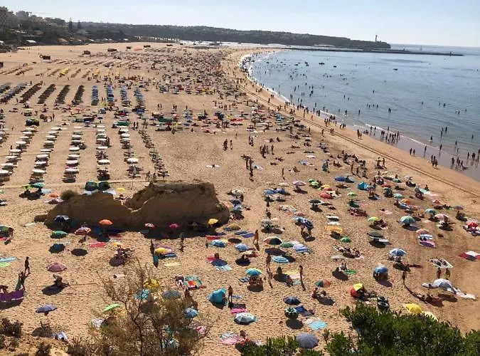 아파트 T1 Da Rocha