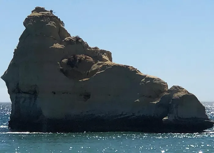 T1 Da Rocha * 포티마오